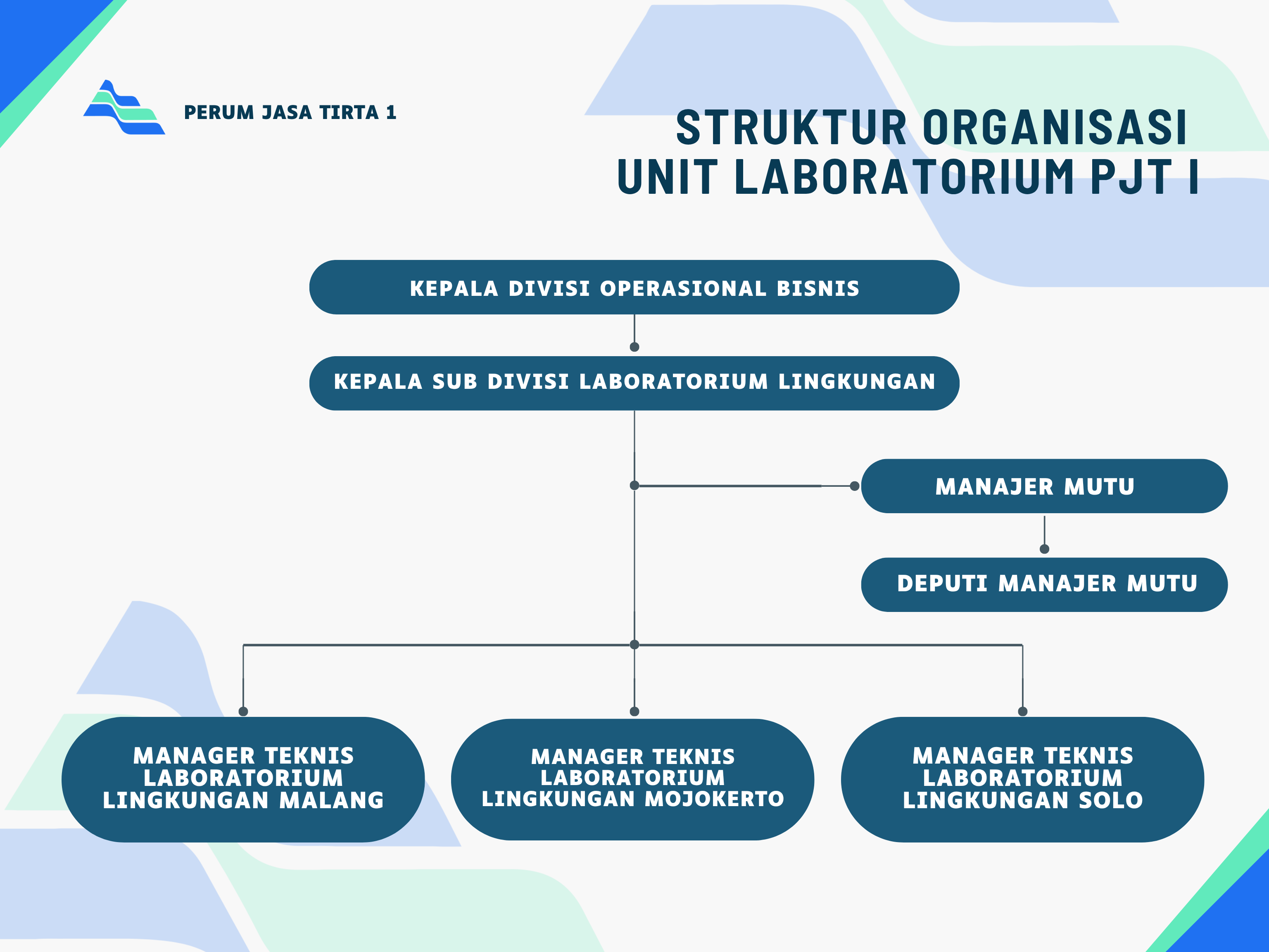 Struktur Organisasi Laboratorium PJT I